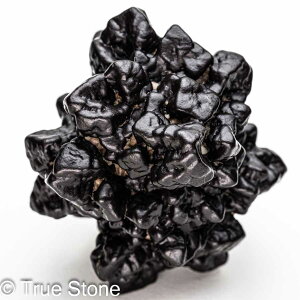 vtFV[Xg[ \ \̐ Tn ґz OEfBO AXeCh f