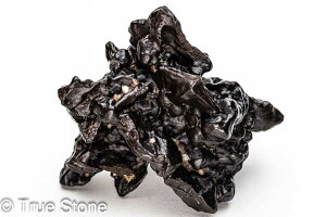 vtFV[Xg[ \ \̐ Tn ґz OEfBO AXeCh f