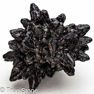 vtFV[Xg[ \ \̐ Tn ґz OEfBO AXeCh f