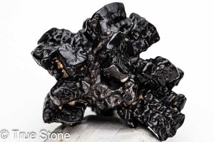 vtFV[Xg[ \ \̐ Tn ґz OEfBO AXeCh f