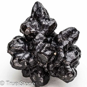 vtFV[Xg[ \ \̐ Tn ґz OEfBO AXeCh f