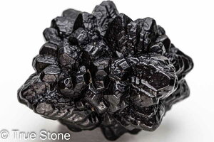 vtFV[Xg[ \ \̐ Tn ґz OEfBO AXeCh f