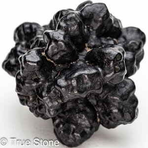 vtFV[Xg[ \ \̐ Tn ґz OEfBO AXeCh f