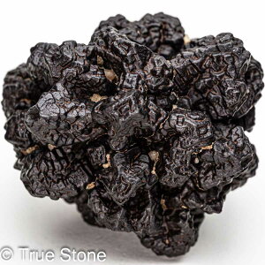 vtFV[Xg[ \ \̐ Tn ґz OEfBO AXeCh f