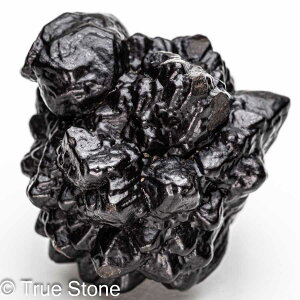 vtFV[Xg[ \ \̐ Tn ґz OEfBO AXeCh f