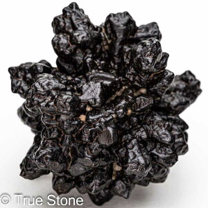 vtFV[Xg[ \ \̐ Tn ґz OEfBO AXeCh f