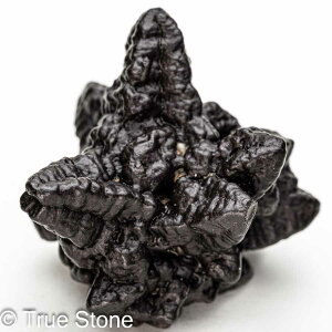 vtFV[Xg[ \ \̐ Tn ґz OEfBO AXeCh f