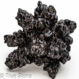 vtFV[Xg[ \ \̐ Tn ґz OEfBO AXeCh f