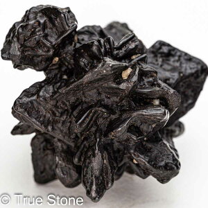 vtFV[Xg[ \ \̐ Tn ґz OEfBO AXeCh f