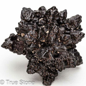 vtFV[Xg[ \ \̐ Tn ґz OEfBO AXeCh f