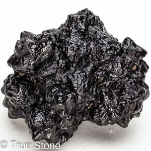 vtFV[Xg[ \ \̐ Tn ґz OEfBO AXeCh f