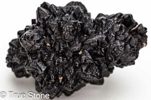 vtFV[Xg[ \ \̐ Tn ґz OEfBO AXeCh f