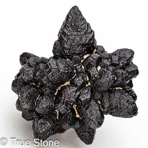 vtFV[Xg[ \ \̐ Tn ґz OEfBO AXeCh f