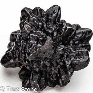 vtFV[Xg[ \ \̐ Tn ґz OEfBO AXeCh f