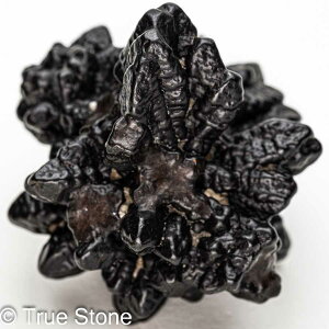 vtFV[Xg[ \ \̐ Tn ґz OEfBO AXeCh f