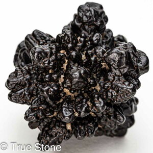 vtFV[Xg[ \ \̐ Tn ґz OEfBO AXeCh f