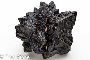 vtFV[Xg[ \ \̐ Tn ґz OEfBO AXeCh f