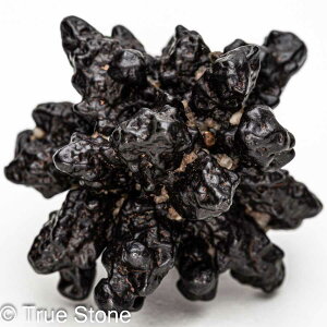 vtFV[Xg[ \ \̐ Tn ґz OEfBO AXeCh f