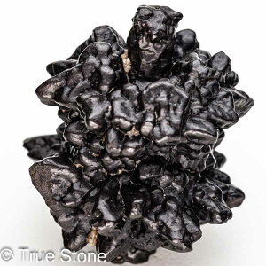 vtFV[Xg[ \ \̐ Tn ґz OEfBO AXeCh f