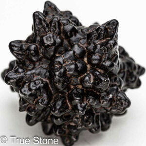 vtFV[Xg[ \ \̐ Tn ґz OEfBO AXeCh f