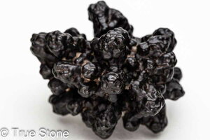 vtFV[Xg[ \ \̐ Tn ґz OEfBO AXeCh f