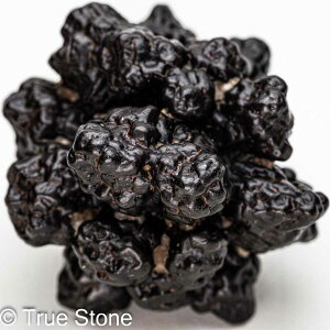 vtFV[Xg[ \ \̐ Tn ґz OEfBO AXeCh f