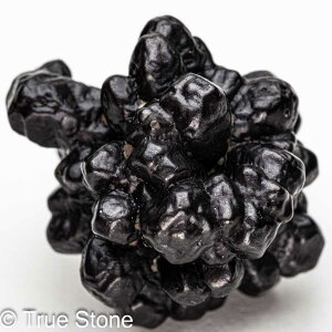 vtFV[Xg[ \ \̐ Tn ґz OEfBO AXeCh f