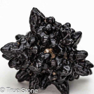 vtFV[Xg[ \ \̐ Tn ґz OEfBO AXeCh f