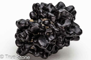 vtFV[Xg[ \ \̐ Tn ґz OEfBO AXeCh f