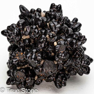 vtFV[Xg[ \ \̐ Tn ґz OEfBO AXeCh f