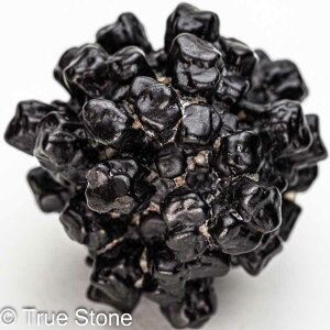 vtFV[Xg[ \ \̐ Tn ґz OEfBO AXeCh f