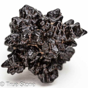 vtFV[Xg[ \ \̐ Tn ґz OEfBO AXeCh f