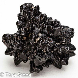 vtFV[Xg[ \ \̐ Tn ґz OEfBO AXeCh f