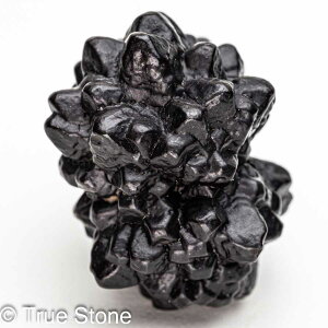 vtFV[Xg[ \ \̐ Tn ґz OEfBO AXeCh f