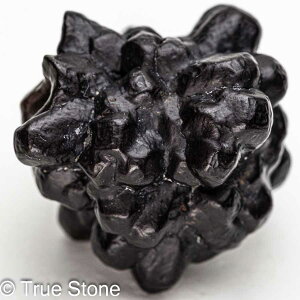 vtFV[Xg[ \ \̐ Tn ґz OEfBO AXeCh f