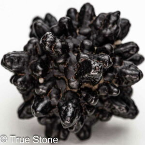 vtFV[Xg[ \ \̐ Tn ґz OEfBO AXeCh f