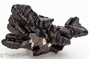 vtFV[Xg[ \ \̐ Tn ґz OEfBO AXeCh f