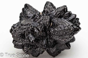 vtFV[Xg[ \ \̐ Tn ґz OEfBO AXeCh f