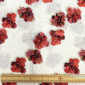 n Hyakka by Chihiro Hasunuma ȖRpX EGXA-9002-2A y×50cmPʁzCNWFbg @h KOKKA