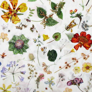 ���o�e�B�E�t�@�u���b�N�X ���n�@Floral Eve �t���[�����C�u 13-3633189-TEE-DE �y����×10cm�P�ʁz(�Œ�30cm����) ���o�e�B�v�����g�@�^�i���[���@LIBERTY