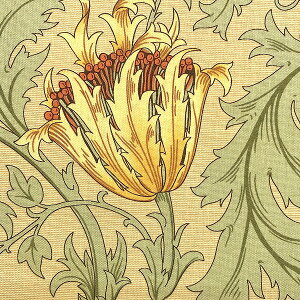 BEST OF MORRIS V[`On AnemoneAll8217-31( x[W) y×50cmPʁzmoda fabrics EBAX