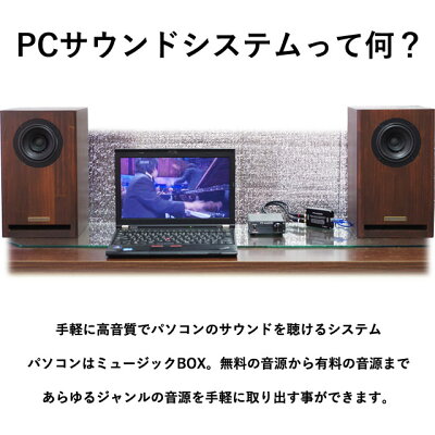 楽天市場 Pc Sound System サウンドシステム Pc用 スピーカー アンプ Dac ケーブル パソコン用 Usb接続 メール便不可 宅配便配送 Technicalsport Passo