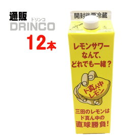 割り材、シロップ ド真ん中レモン 1000ml 紙パック 12本 ( 12 本 * 1 ケース ) 三田飲料 【送料無料 北海道・沖縄・東北 別途加算】 [かき氷 蜜 レモンサワー 居酒屋 ソーダ水]