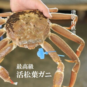 tKj ōYCKj  TCY ɒËRJj 1t(500-1kg)mYnn NNn O  N Jj YCI Ε