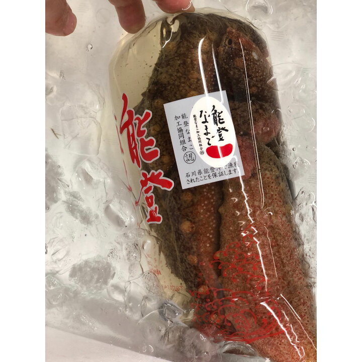 楽天市場】赤ナマコ 能登産 他 1キロ袋【赤なまこ 1kg】冷蔵 豊洲直送 