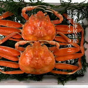 ZCRKj TCY {C ËRY 2ti1t200-250gTCYjv400-500g ɌY  RbyKj ZRKj Yn ①