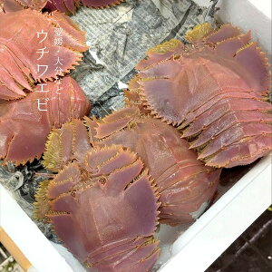 E`Gr QE啪Y  500gi1t100-200gjycCVzLF ①