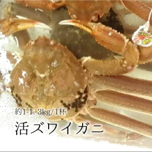 劈YCKj ōi ///Y tKj/zOKj 1.0-1.2kg(1t)mLFn NNn O N Jj YCIyYCKj1Kz ①