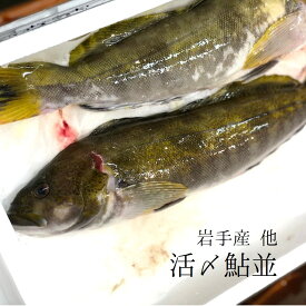 楽天市場 アイナメ 刺身の通販
