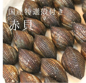 赤貝 貝の人気商品 通販 価格比較 価格 Com 赤貝 貝の人気商品 通販 価格比較 価格 Com